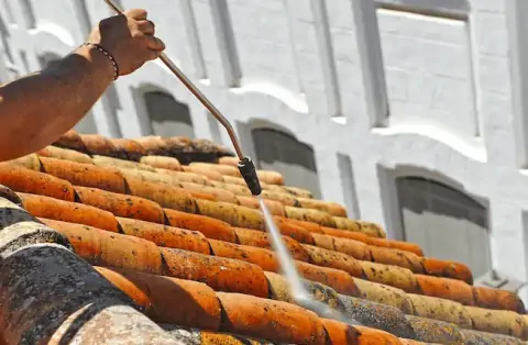 Nettoyage de toitures - Isère